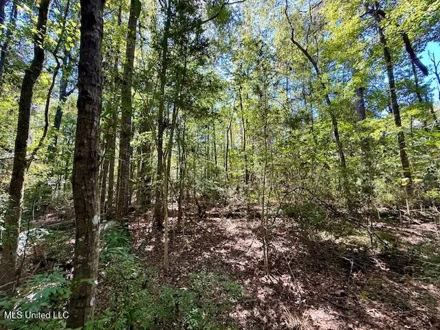 $99,500 | Sanford Road, Franklinton, LA 70438