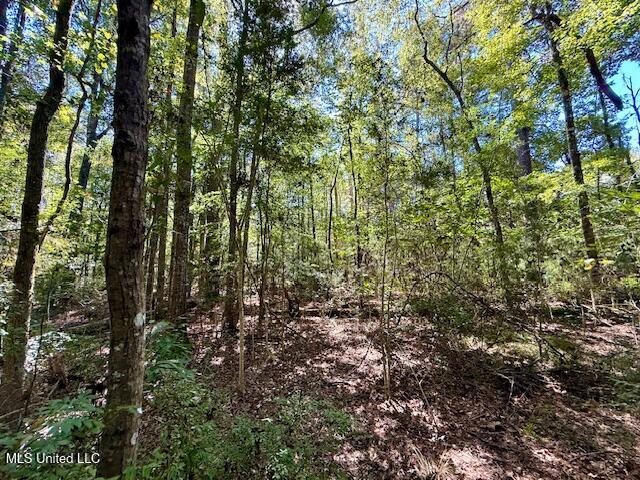 Sanford Road Franklinton, LA 70438 - Photo 13 of 30 IMG_6605