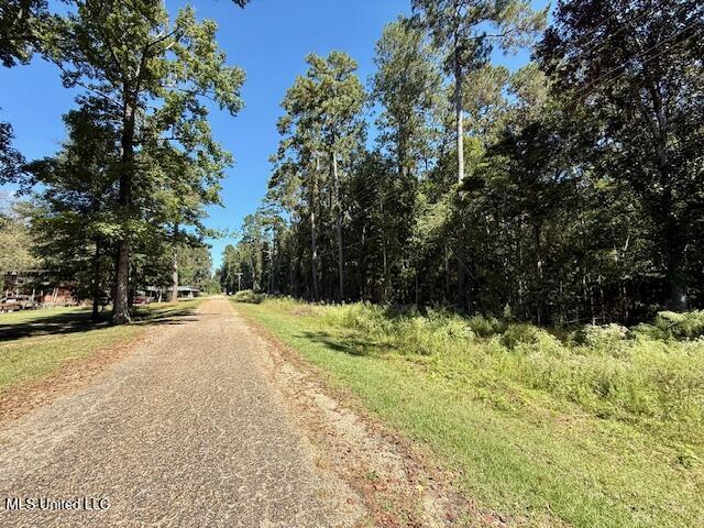 Sanford Road Franklinton, LA 70438 - Photo 14 of 30 IMG_6606