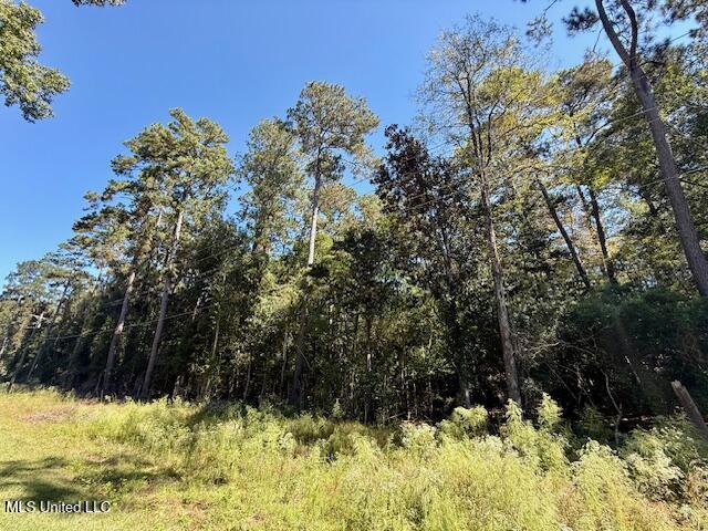 Sanford Road Franklinton, LA 70438 - Photo 15 of 30 IMG_6607