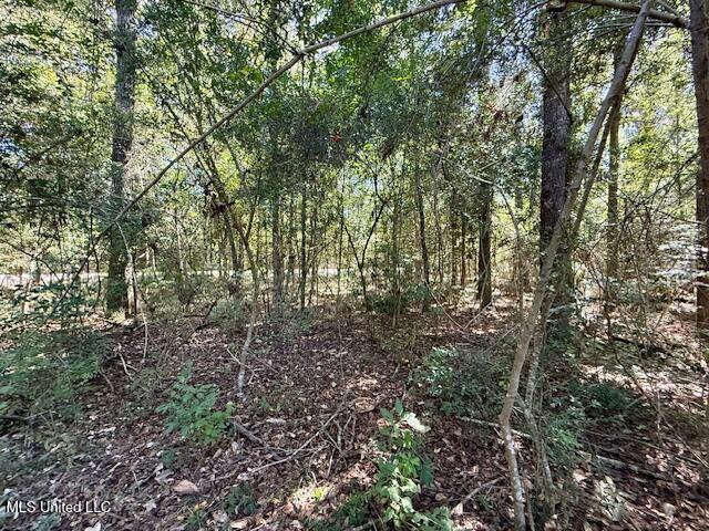 Sanford Road Franklinton, LA 70438 - Photo 16 of 30 IMG_6608