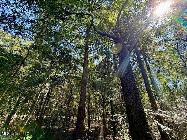 Sanford Road Franklinton, LA 70438 - Photo 17 of 30 IMG_6609