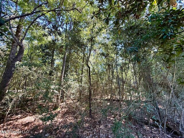 Sanford Road Franklinton, LA 70438 - Photo 18 of 30 IMG_6610