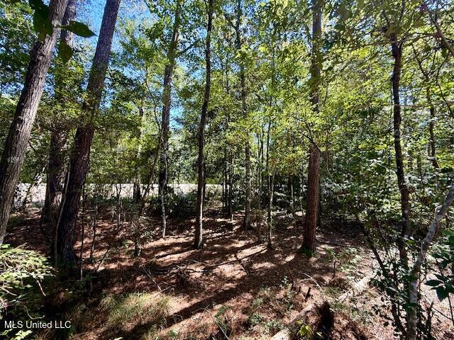 Sanford Road Franklinton, LA 70438 - Photo 20 of 30 IMG_6612