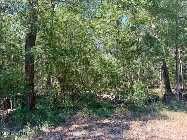 Sanford Road Franklinton, LA 70438 - Photo 24 of 30 IMG_6616