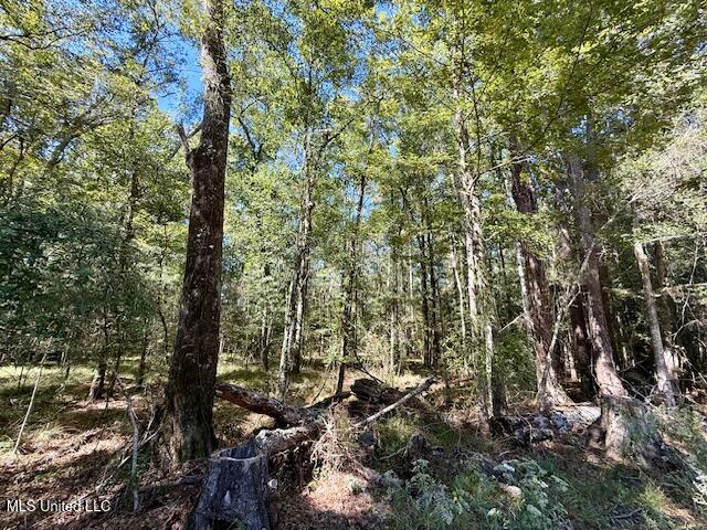 Sanford Road Franklinton, LA 70438 - Photo 26 of 30 IMG_6618