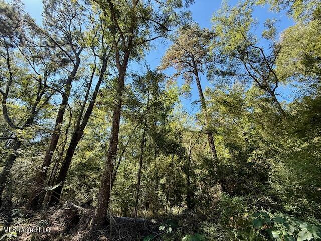 Sanford Road Franklinton, LA 70438 - Photo 28 of 30 IMG_6620