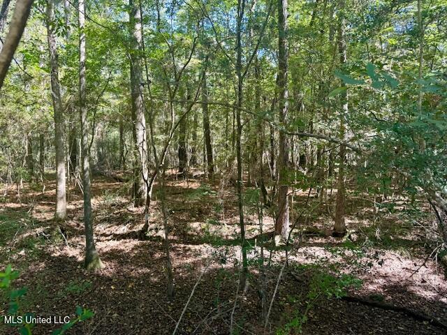 Sanford Road Franklinton, LA 70438 - Photo 3 of 30 IMG_6594