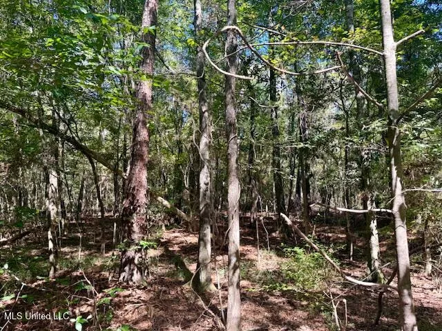 $99,500 | Sanford Road, Franklinton, LA 70438