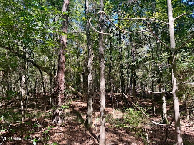 Sanford Road Franklinton, LA 70438 - Photo 5 of 30 IMG_6596