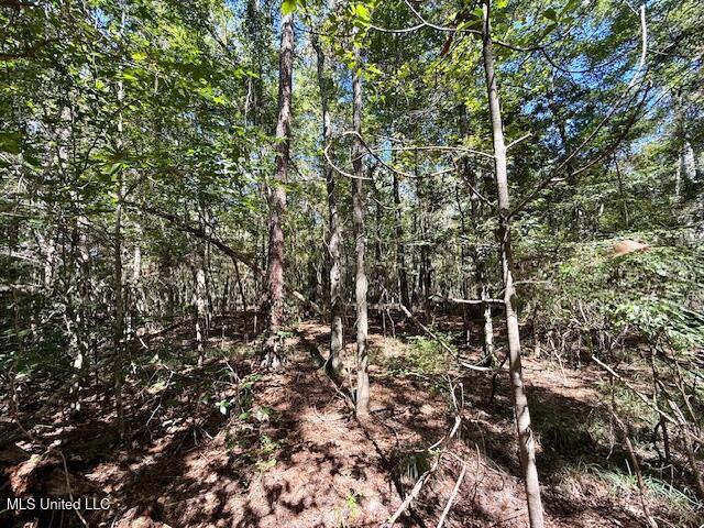 Sanford Road Franklinton, LA 70438 - Photo 6 of 30 IMG_6597