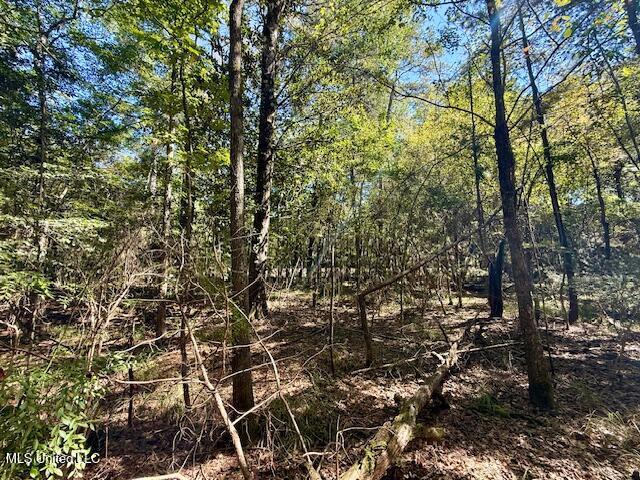 Sanford Road Franklinton, LA 70438 - Photo 7 of 30 IMG_6598