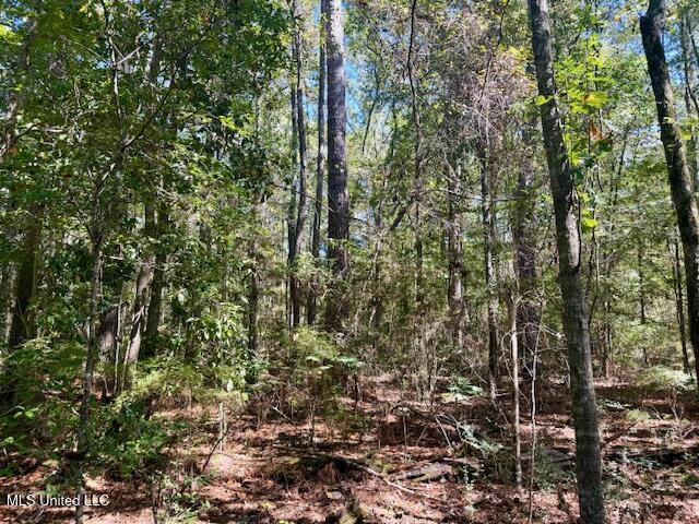 Sanford Road Franklinton, LA 70438 - Photo 9 of 30 IMG_6601