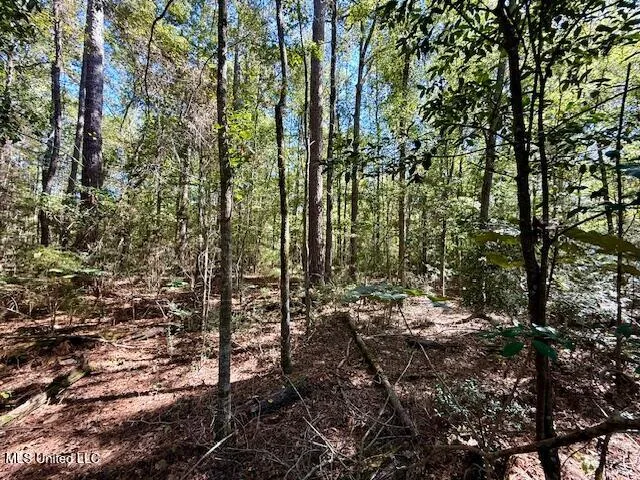 $99,500 | Sanford Road, Franklinton, LA 70438