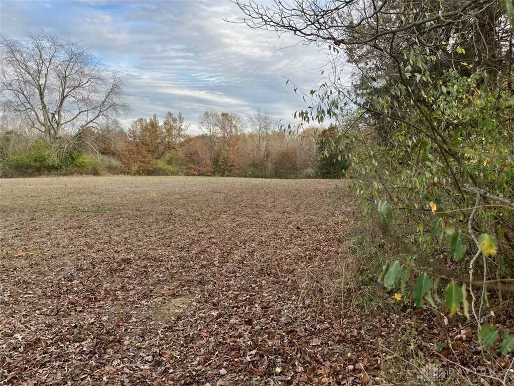 0 Collins-Riley Road Blanchester, OH 45107 - Photo 10 of 11