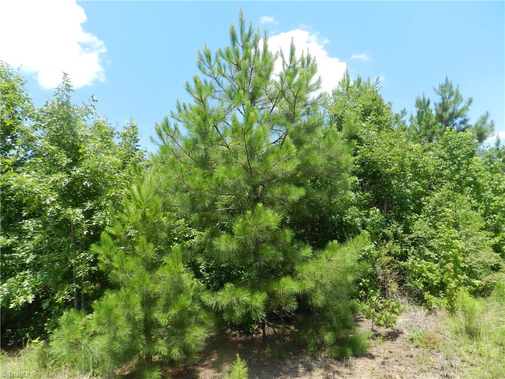 0 Hedrick Lodge Road Lexington, NC 27292 - Photo 2 of 5 Gallery Image 2