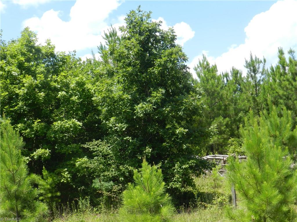0 Hedrick Lodge Road Lexington, NC 27292 - Photo 3 of 5 Gallery Image 3