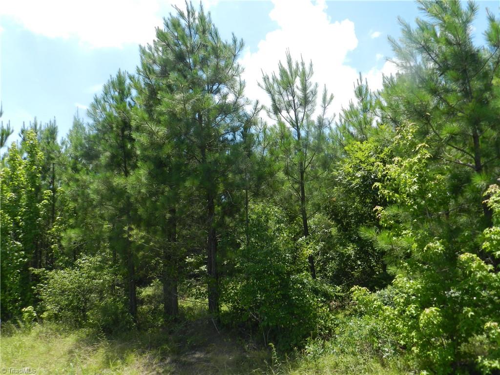 0 Hedrick Lodge Road Lexington, NC 27292 - Photo 5 of 5 Gallery Image 5
