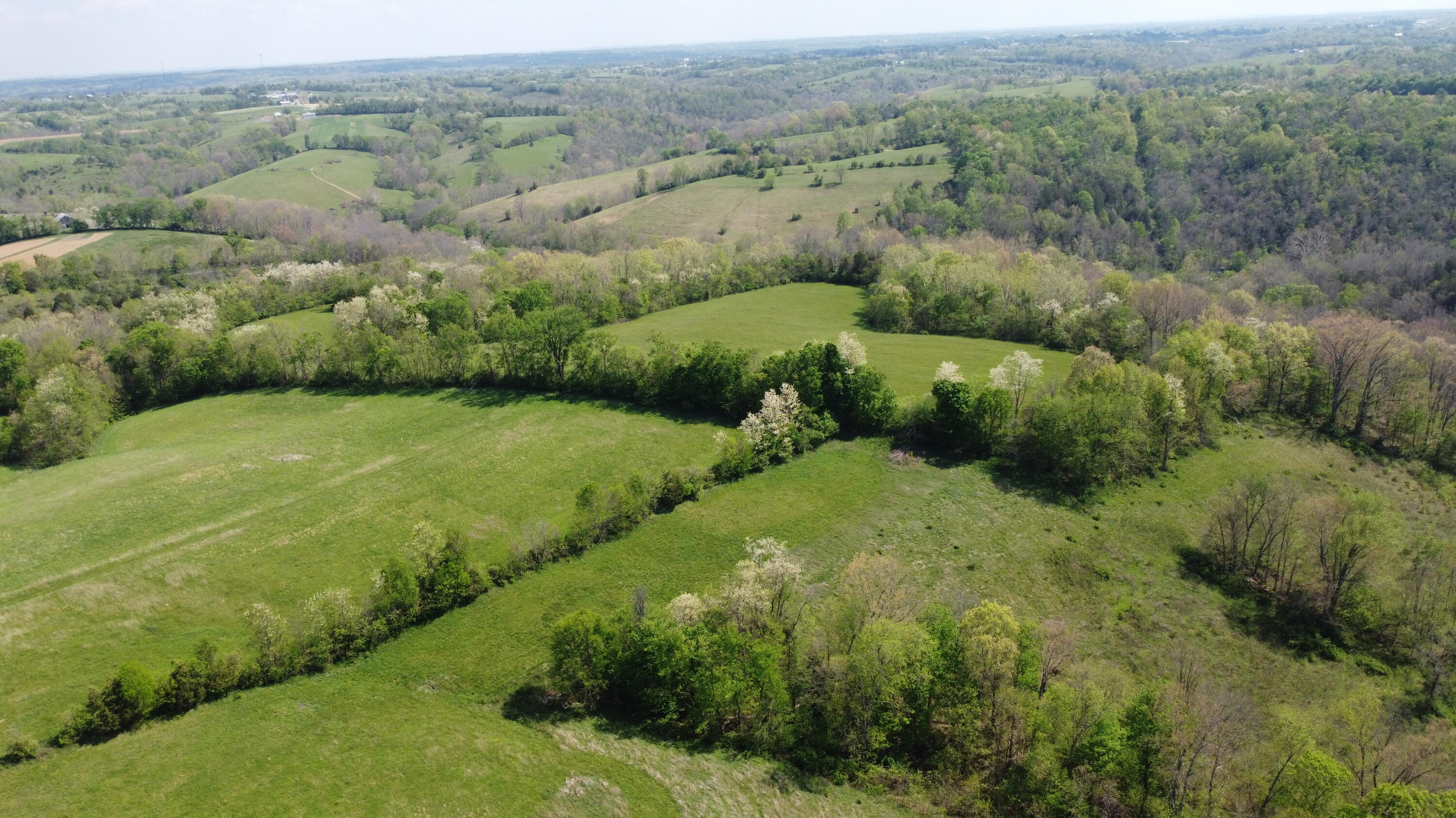 758 Bethel Road Moorefield, KY 40350 - Photo 13 of 18 DJI_0975