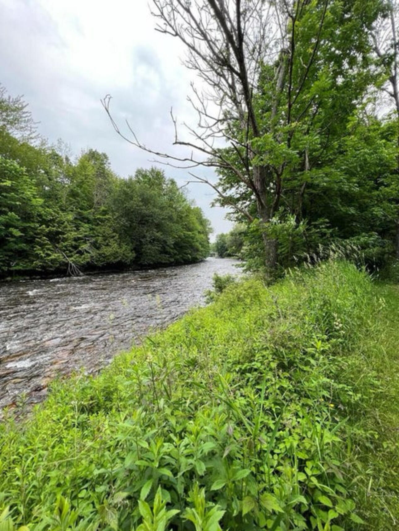 15 Simms Road Chateaugay, NY 12920 - Photo 23 of 35 IMG_1200