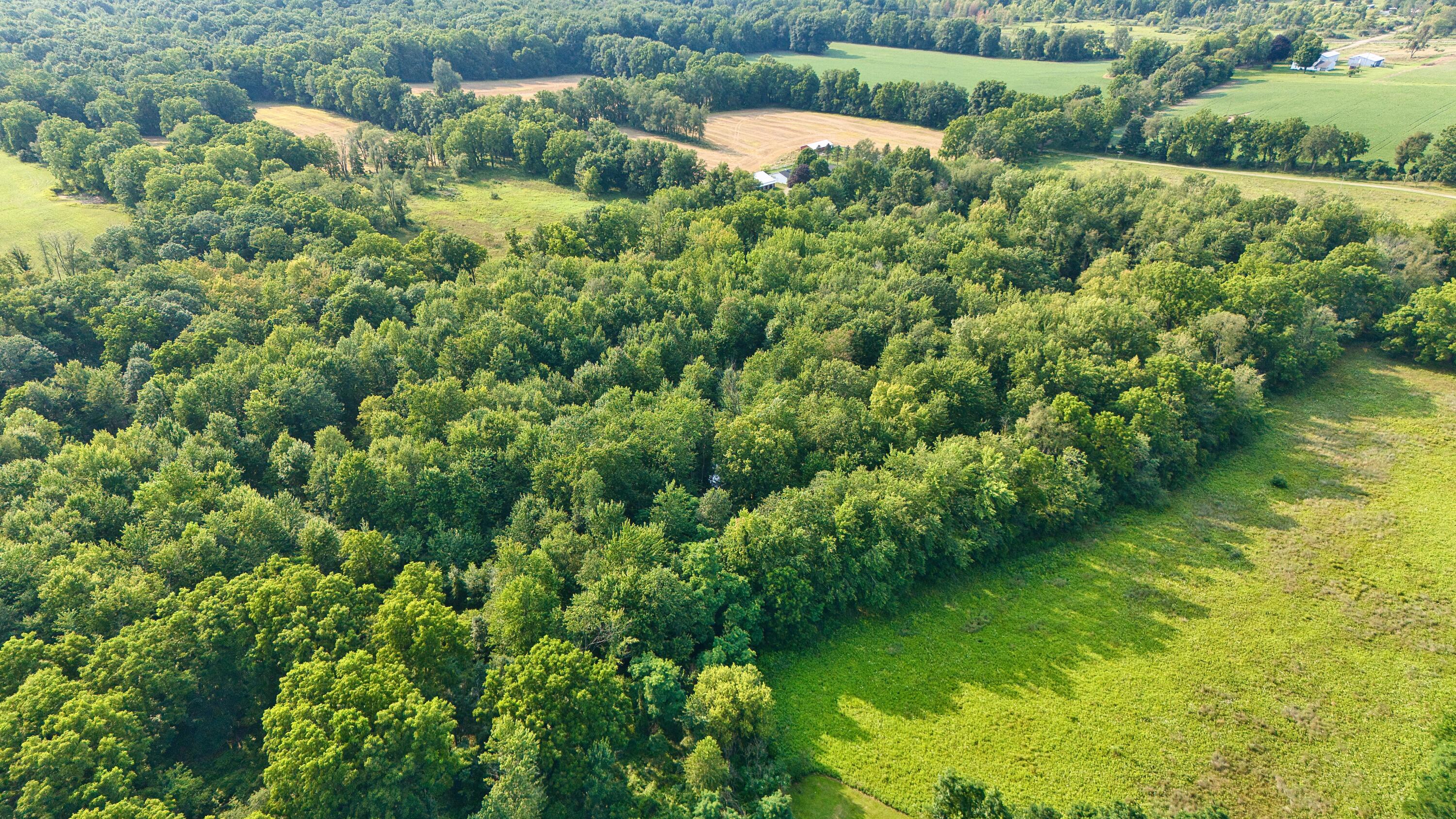 Hog Creek Road Allen, MI 49227 - Photo 1 of 16 Hog Creek Dr - 7-30-24_5