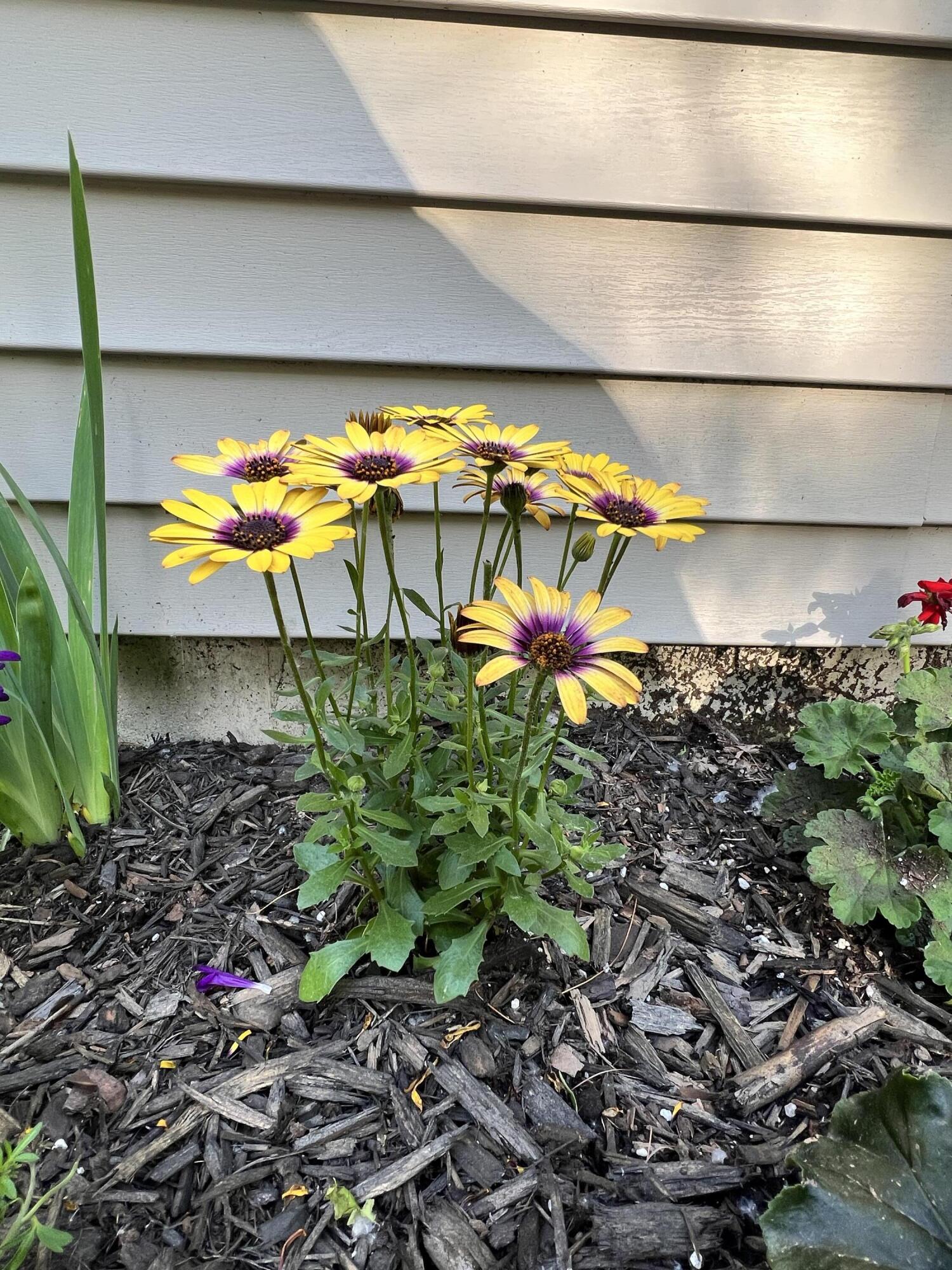 701 Stetson Road Exeter, ME 04435 - Photo 109 of 110 IMG_8800