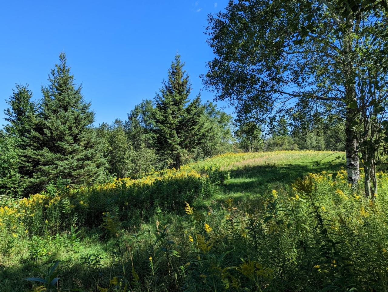 W5637 Colberg Road Ogema, WI 54459 - Photo 77 of 82 Gallery Image 77