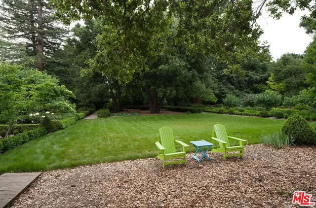 a view of a tree in the garden