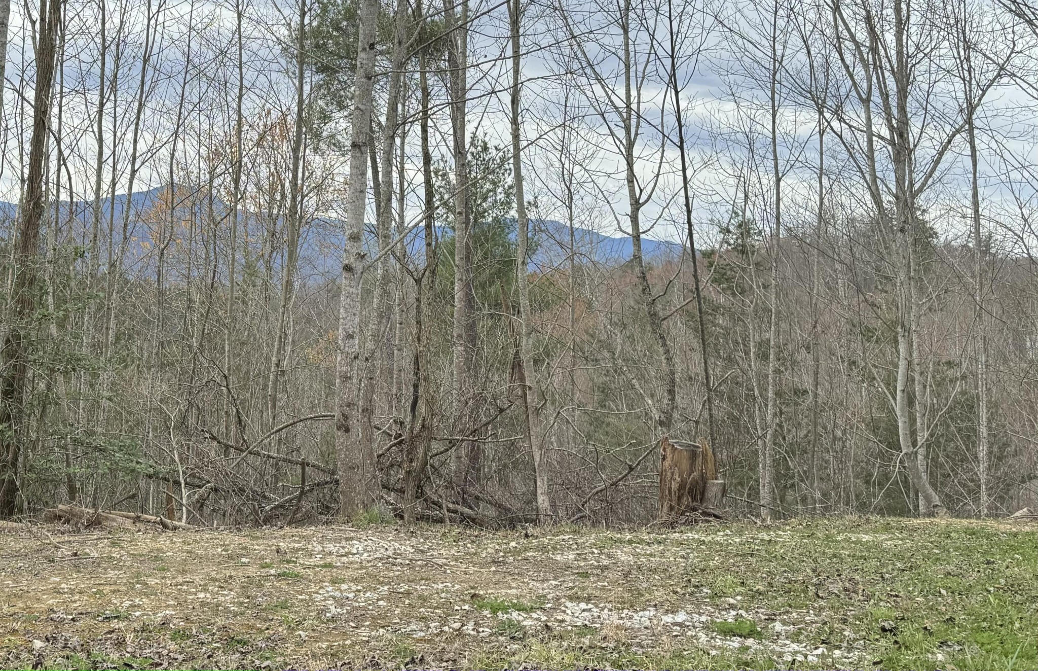 4238 Ridge Road Hartford, TN 37753 - Photo 7 of 41 Gallery Image 7