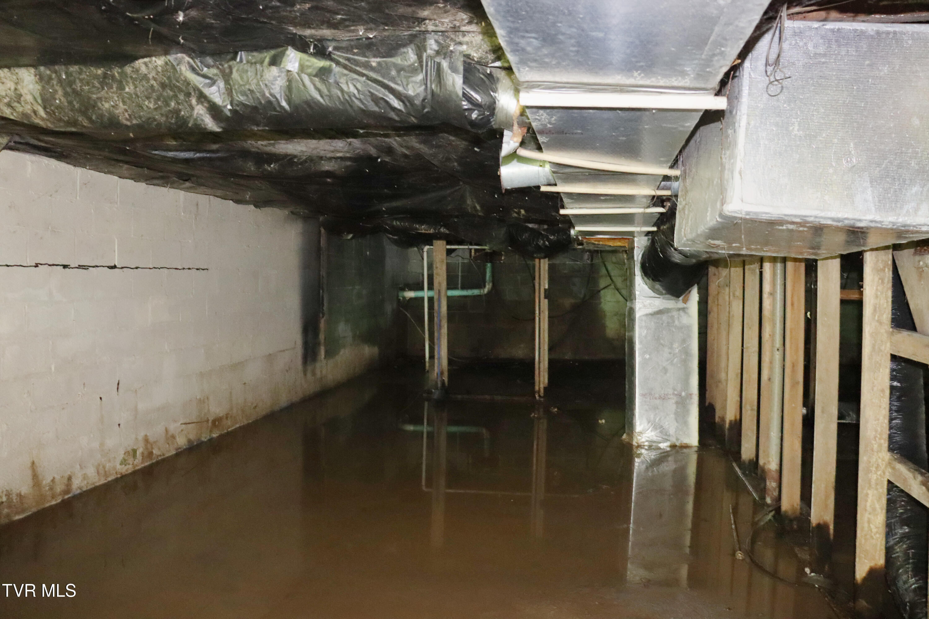 3849 Nealy Ridge Clinchco, VA 24226 - Photo 27 of 36 IMG_0149