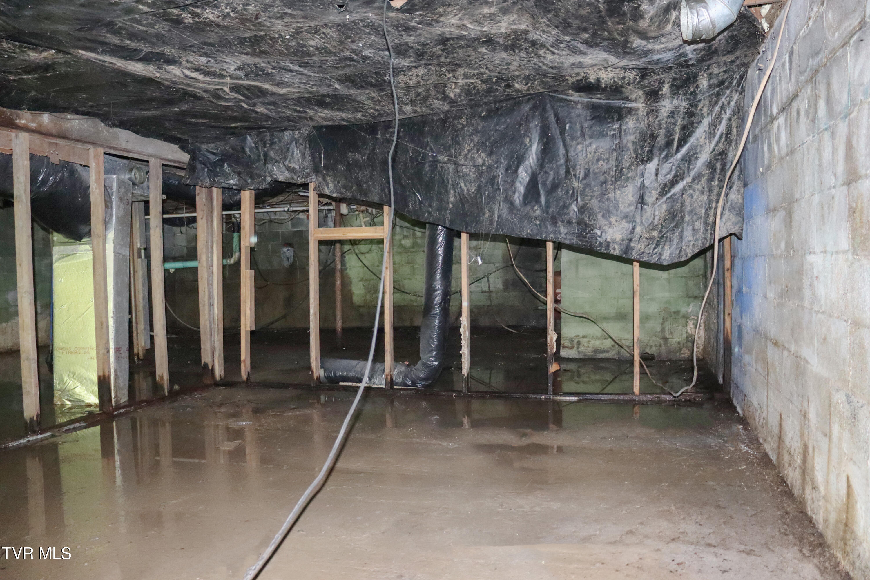 3849 Nealy Ridge Clinchco, VA 24226 - Photo 28 of 36 IMG_0150