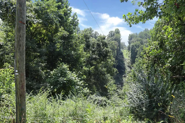 $94,900 | 3849 Nealy Ridge, Clinchco, VA 24226