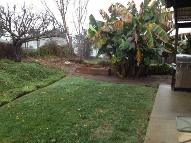 1174 Caren Road Vista, CA 92083 - Photo 6 of 7
