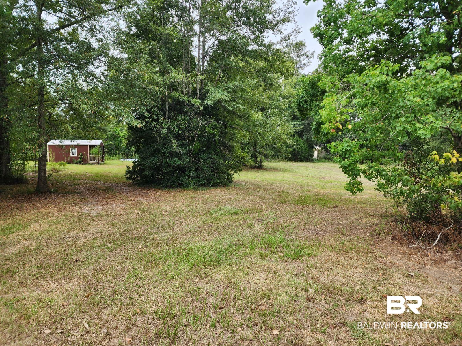 307 Scott Street Brewton, AL 36426 - Photo 18 of 19 View of yard featuring a shed
