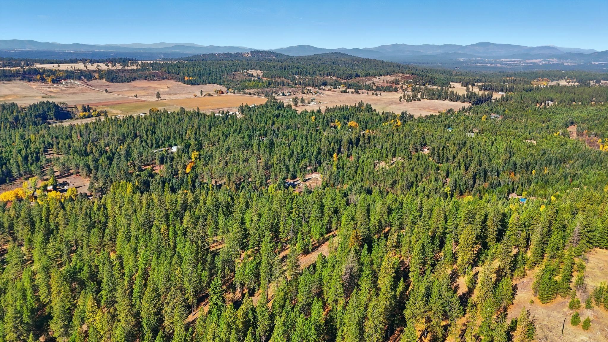 30324 North Elk Chattaroy Road Chattaroy, WA 99003 - Photo 42 of 49