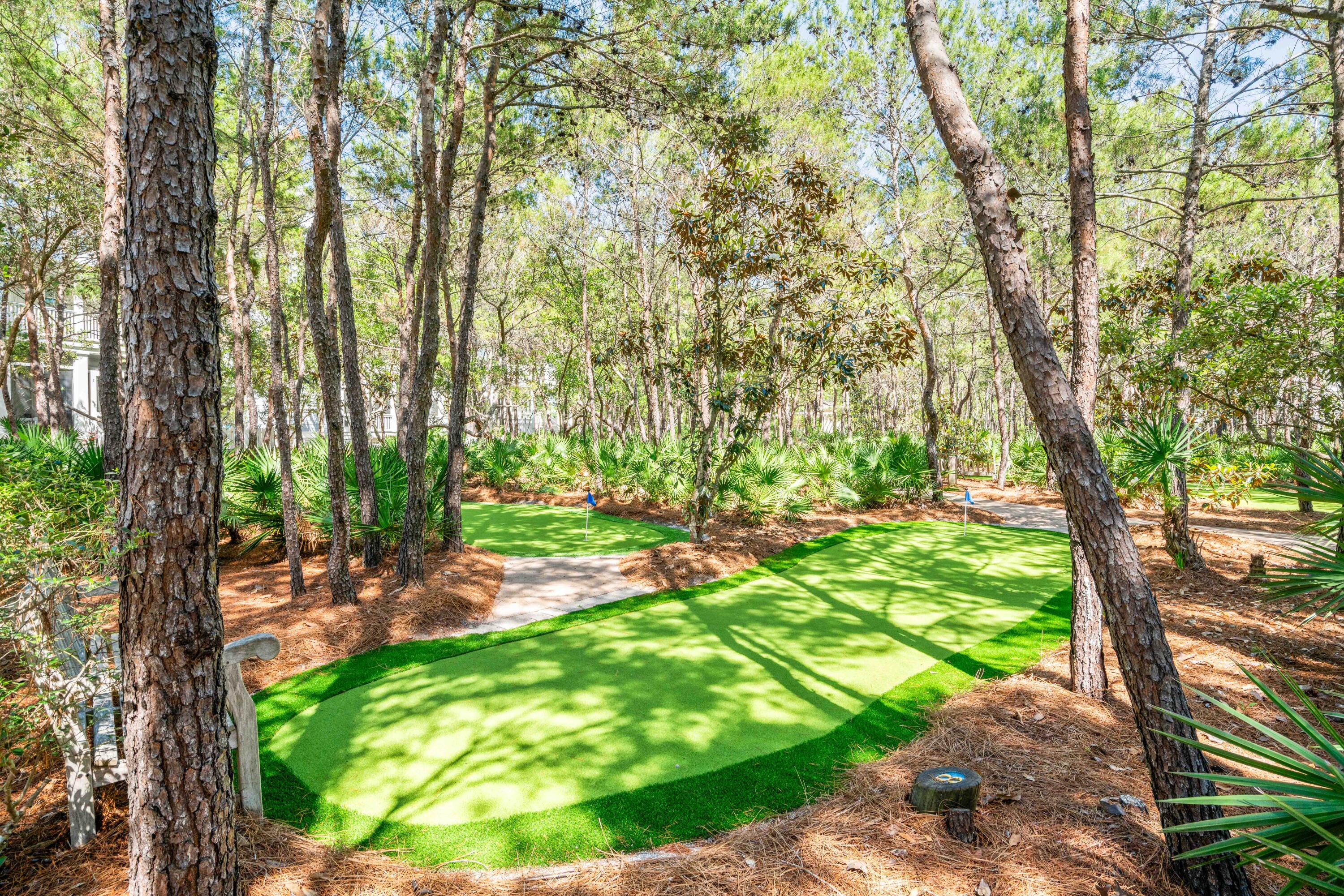 148 Coopersmith Lane Inlet Beach, FL 32461 - Photo 80 of 82 a backyard of a house with lots of green space and garden