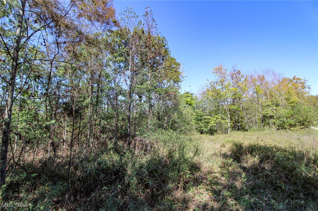 Lot 3 Moss Run Road Marietta, OH 45750 - Photo 2 of 14 View of nature