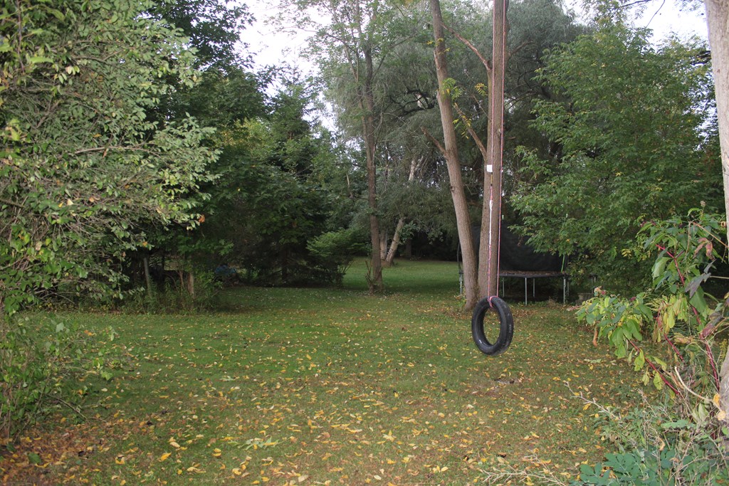 4555 Highway 79 Hector, NY 14818 - Photo 10 of 37