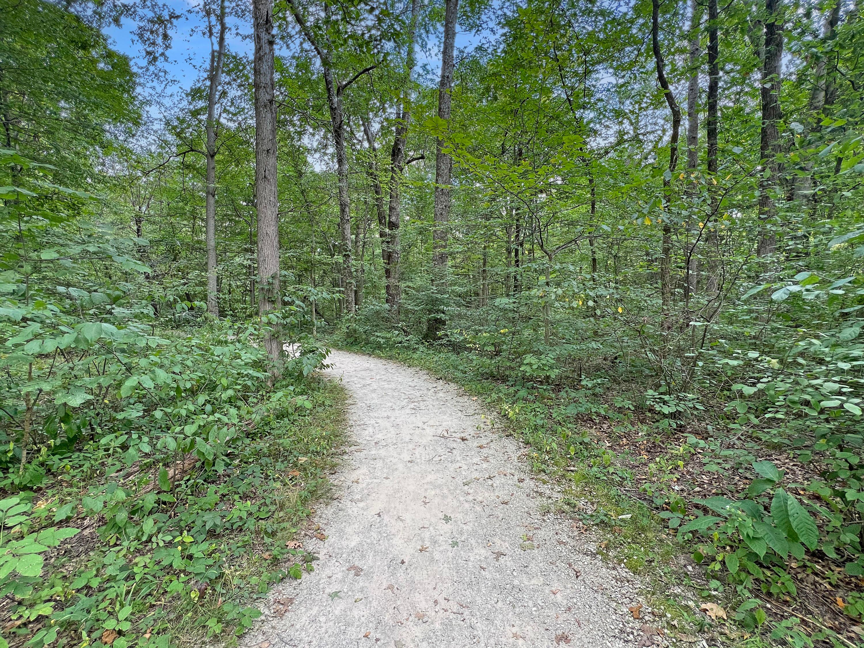 7792 Rodebaugh Road Reynoldsburg, OH 43068 - Photo 45 of 53 Nearby Blacklick Woods Park