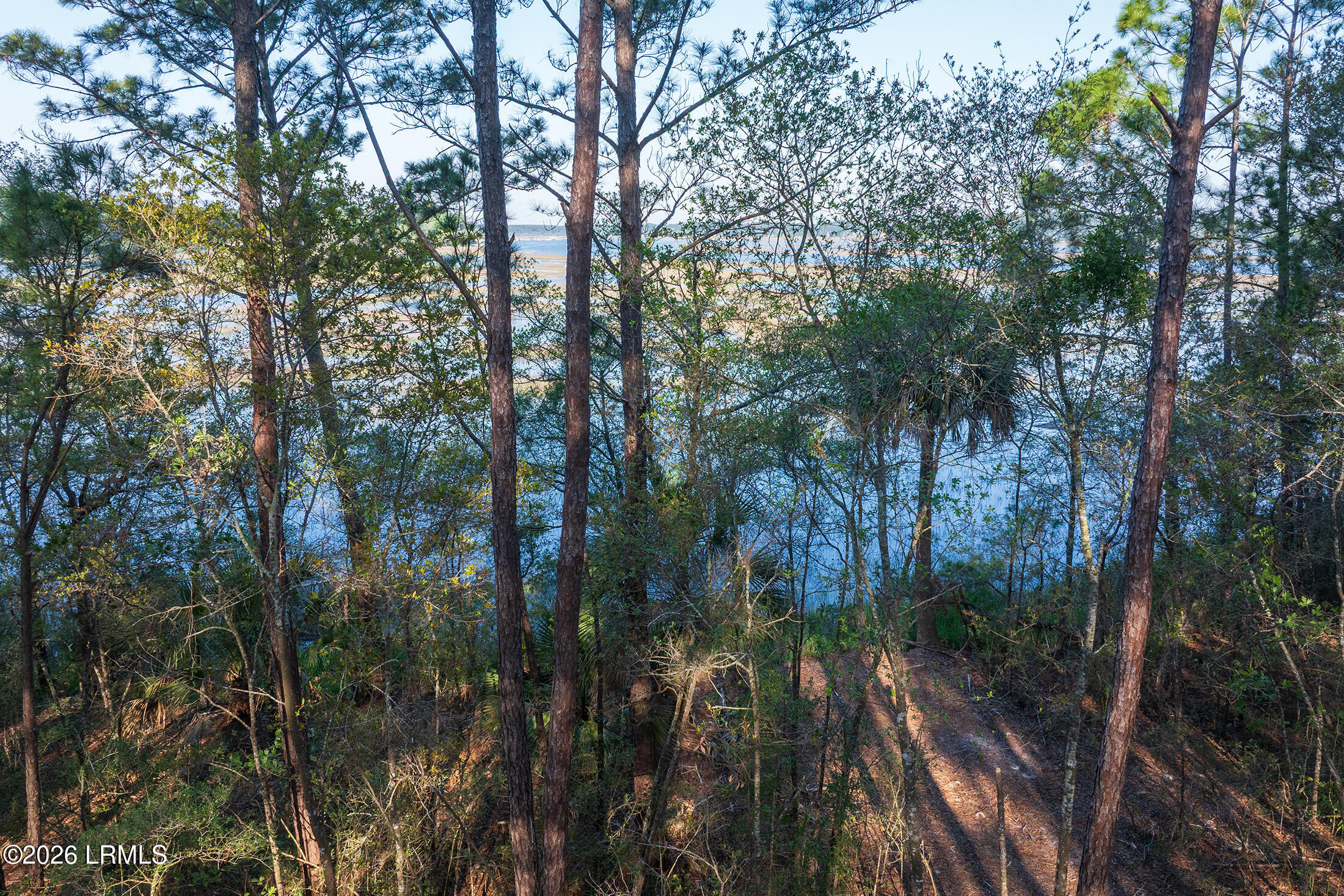 509 State Rd S-7-50 Okatie, SC 29909 - Photo 17 of 24 DJI_20260514083608_0041_D copy