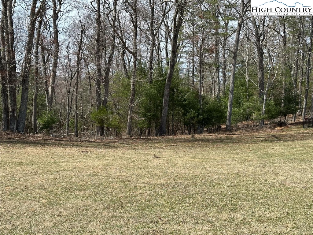 Lot 2 Turtle Ridge Road Sparta, NC 28675 - Photo 3 of 12 a view of a yard with large trees