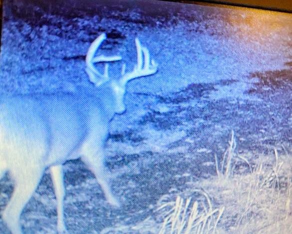 1148 County Road 13 Fillmore, MO 64449 - Photo 11 of 14