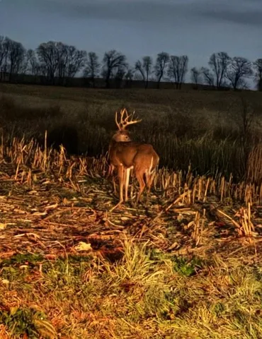 $480,000 | 1148 County Road 13, Fillmore, MO 64449