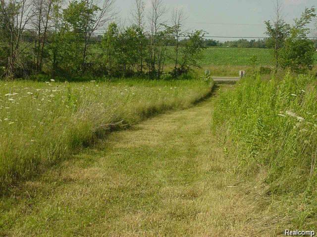 11442 Davison Road Davison, MI 48423 - Photo 3 of 3