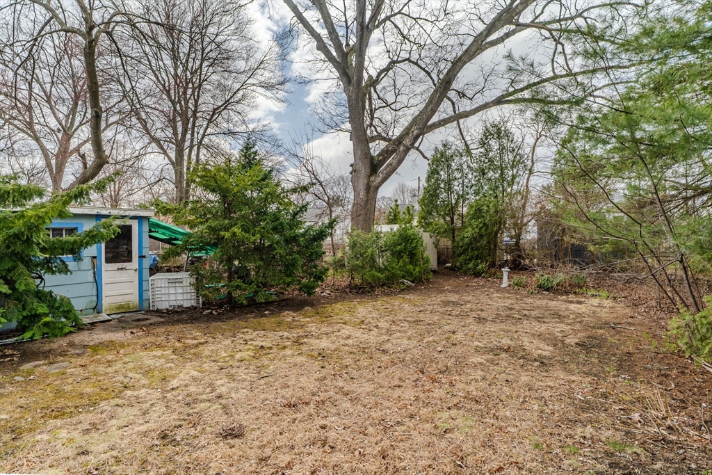 90 Eddy Street Springfield, MA 01104 - Photo 8 of 28 Gallery Image 8
