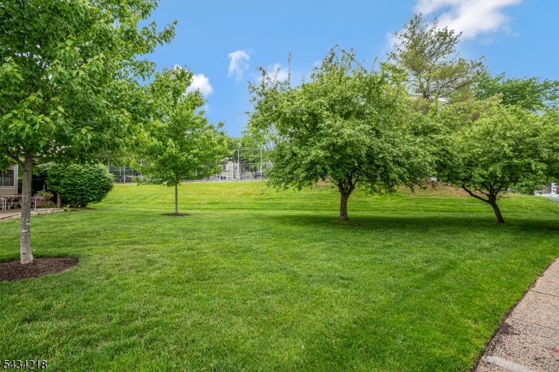 38 Fieldstone Road Bedminster, NJ 07921 - Photo 28 of 30