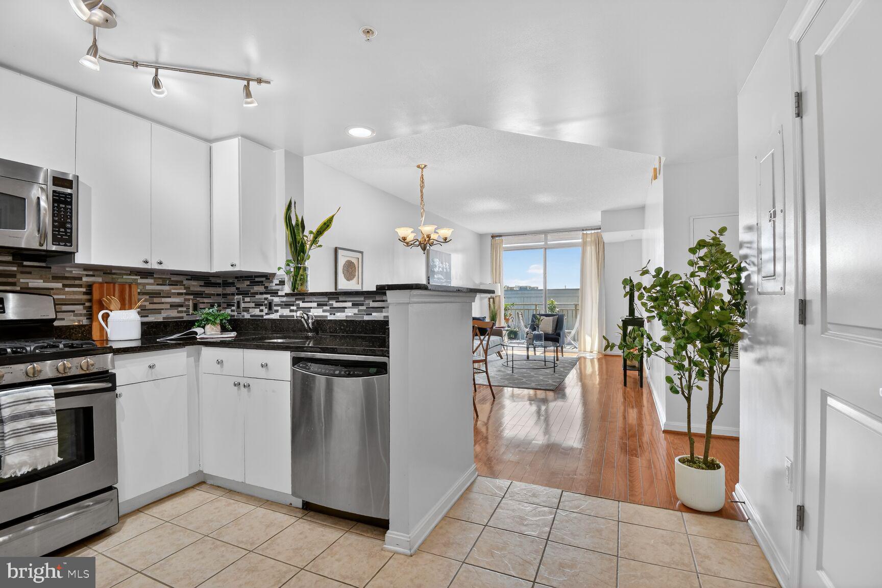 930 Wayne Avenue, Unit 1302 Silver Spring, MD 20910 - Photo 18 of 48