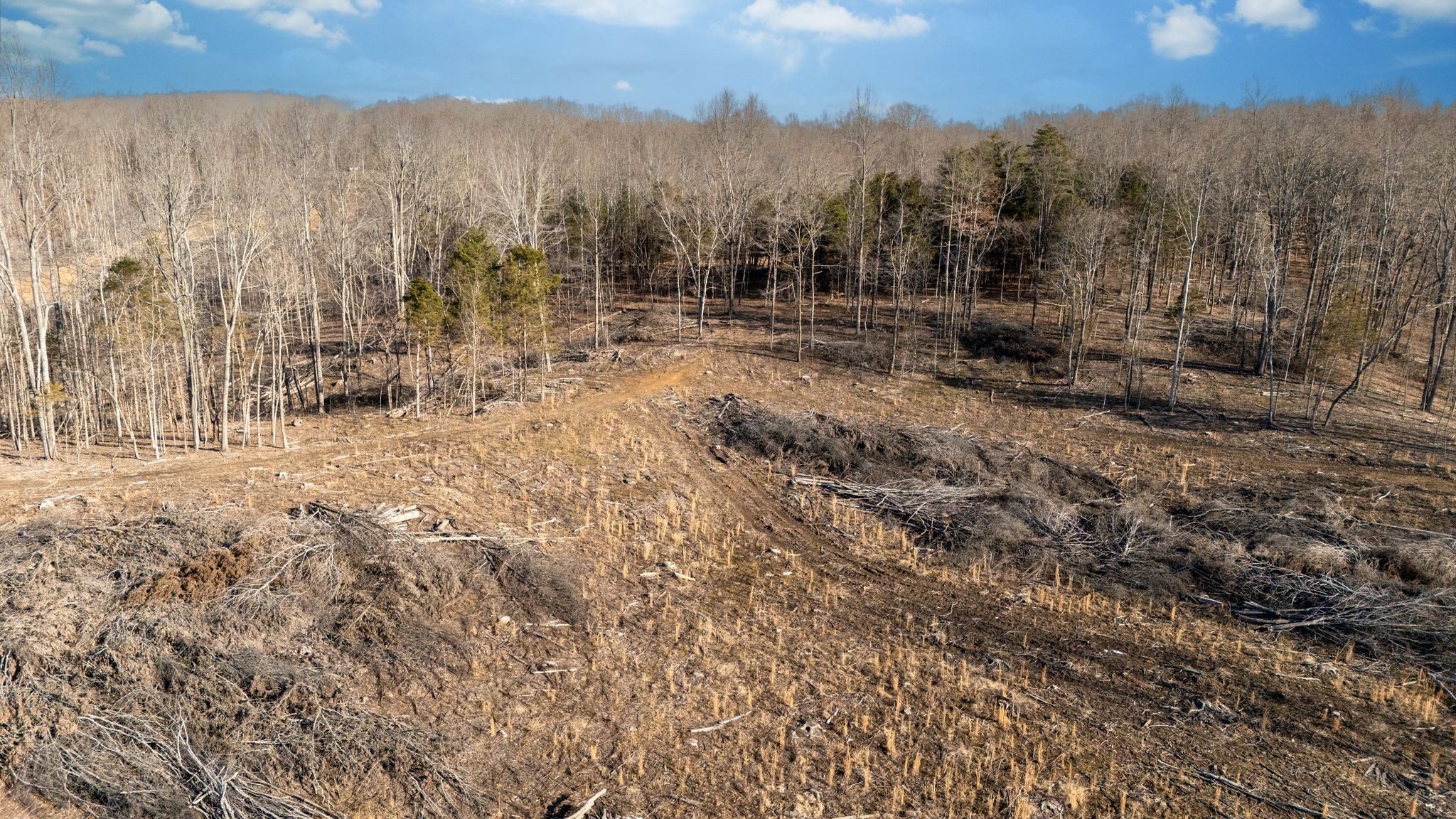 0 Singleton Road Dickson, TN 37055 - Photo 11 of 57 a view of outdoor space with trees all around
