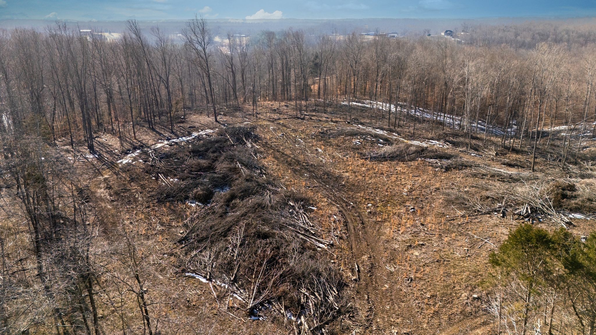 0 Singleton Road Dickson, TN 37055 - Photo 13 of 57 a view of a backyard of a house