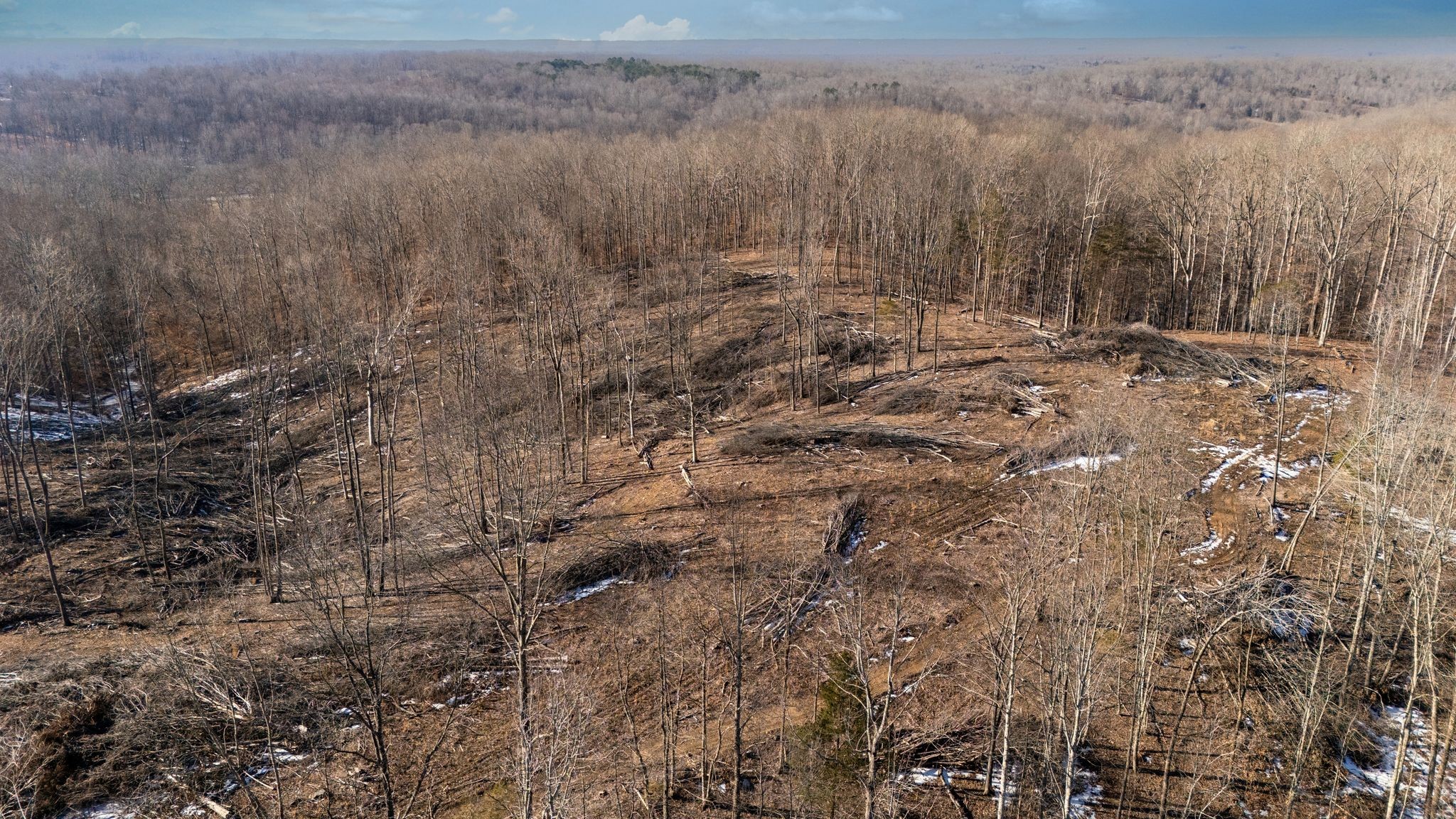 0 Singleton Road Dickson, TN 37055 - Photo 14 of 57 a view of mountain with trees in background